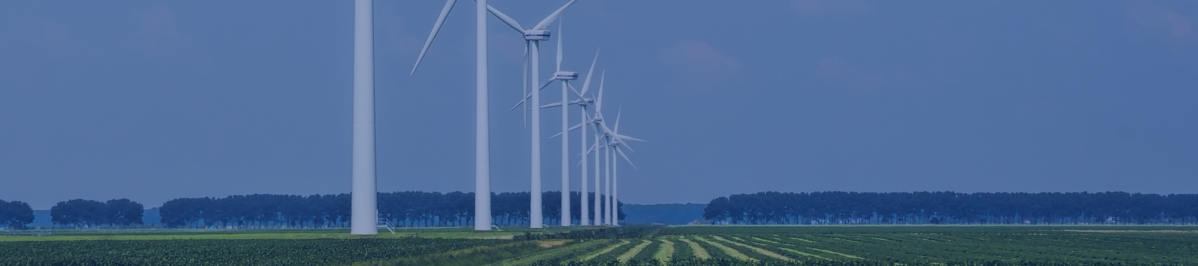 亚洲必赢国际·437ccm(中国区)官方网站